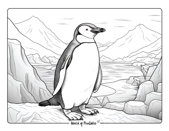 Penguin Coloring Sheet 34