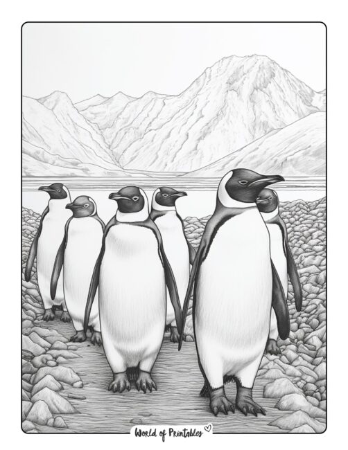 Penguin March Coloring Page