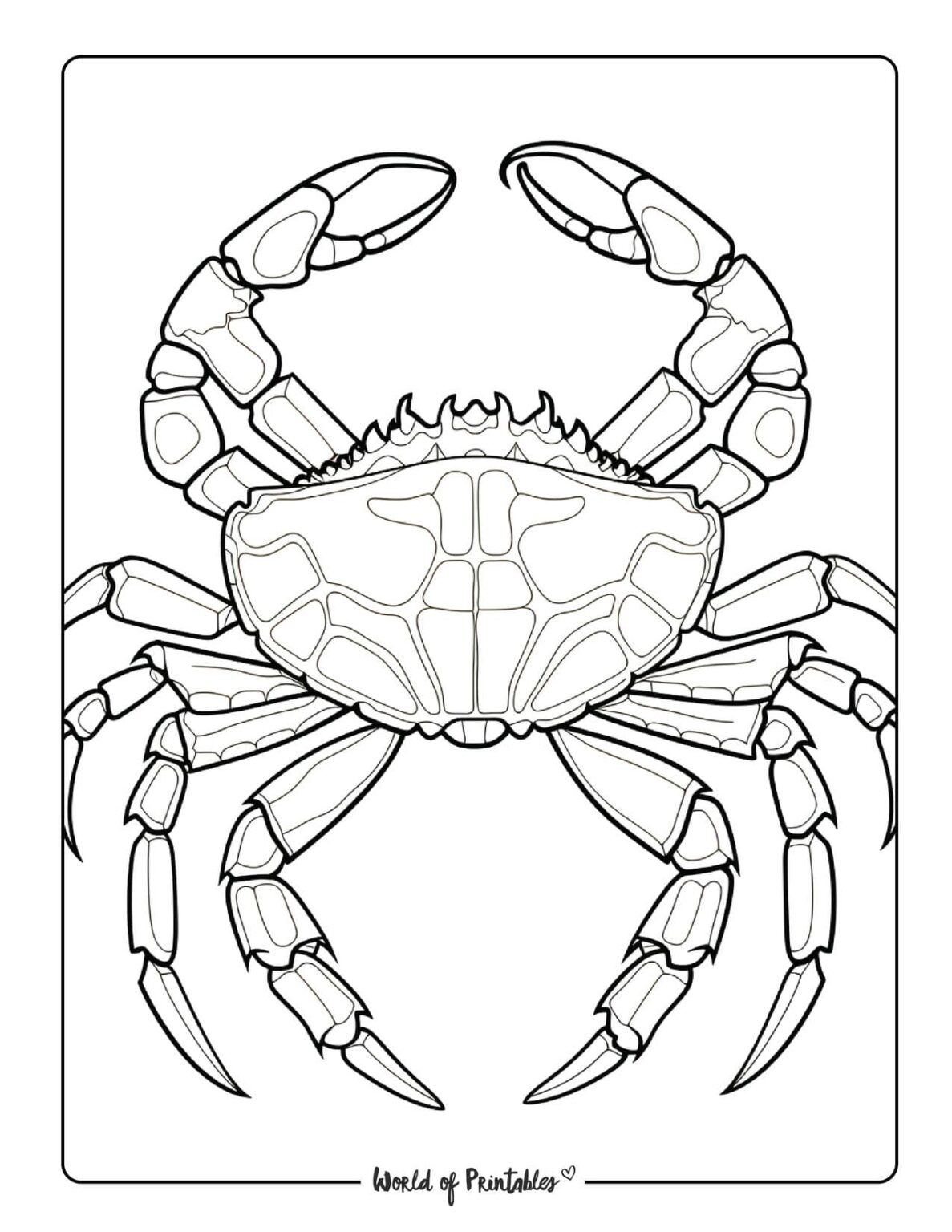 Sea Animal Coloring Pages For Kids Adults World Of Printables