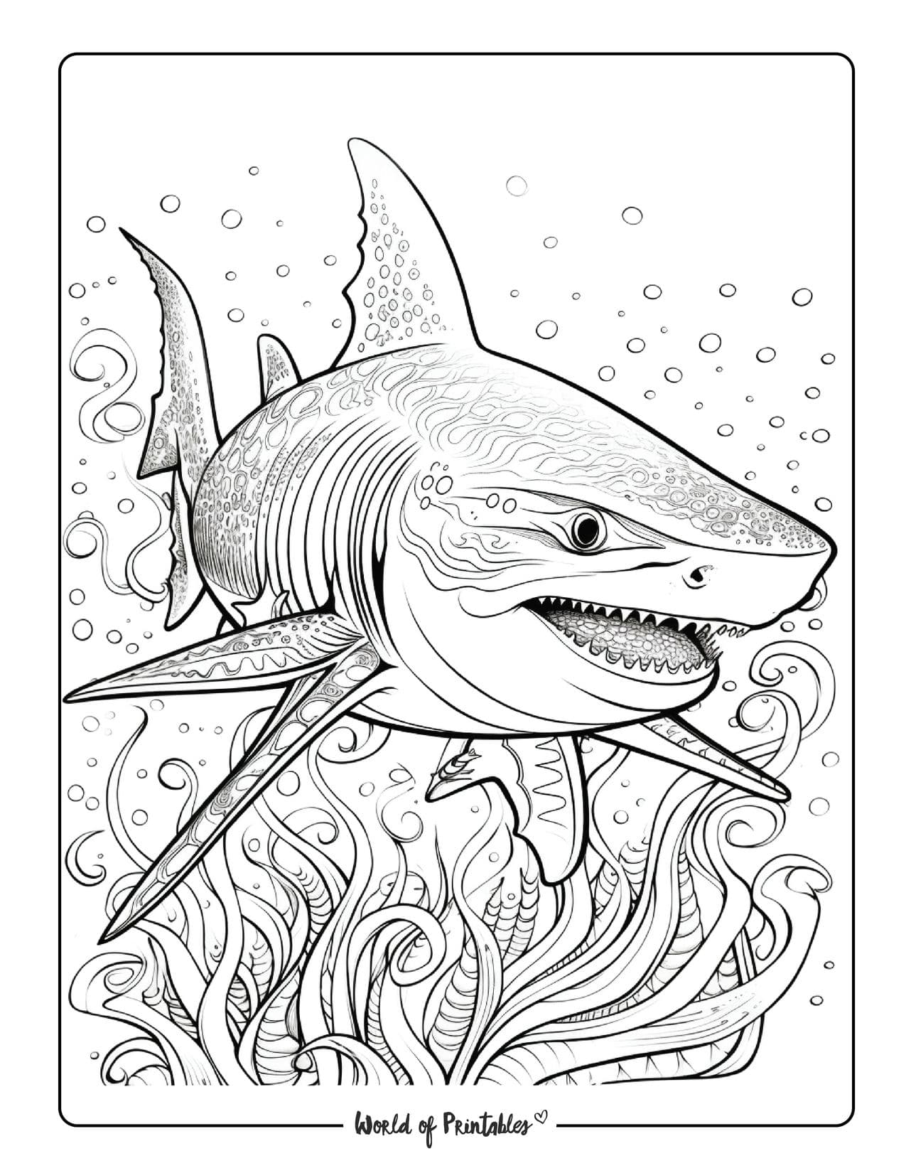 Realistic Animal Coloring Pages For Adults Realistic Animal Coloring Pages For Adults