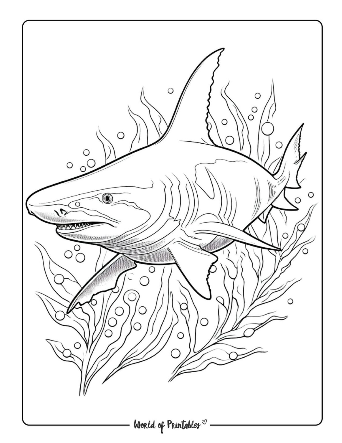Sea Animal Coloring Pages For Kids Adults World Of Printables