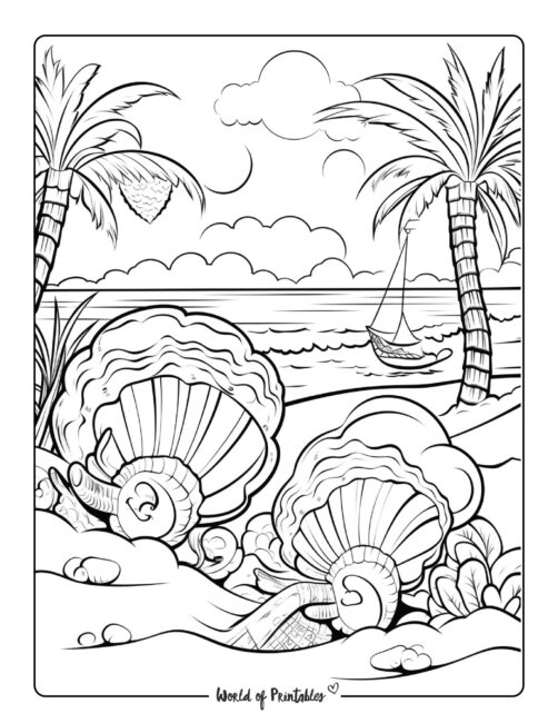 Shell Coloring Page