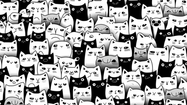 Simple Black and White Cat Background