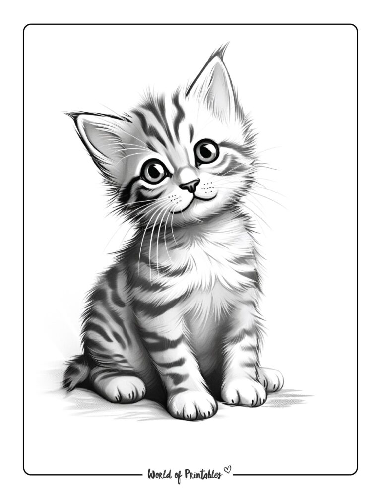 Kitten Coloring Pages - World of Printables