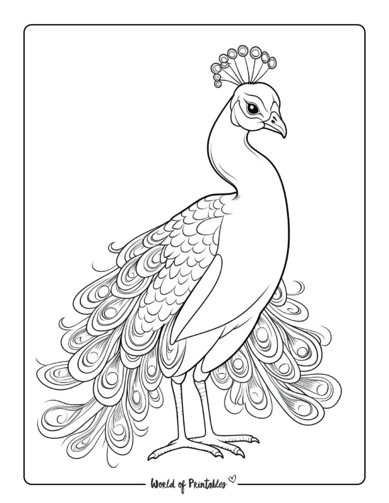 Peacock Coloring Pages - World Of Printables