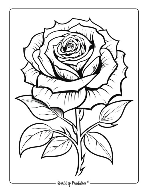 Tattoo Coloring Page 28