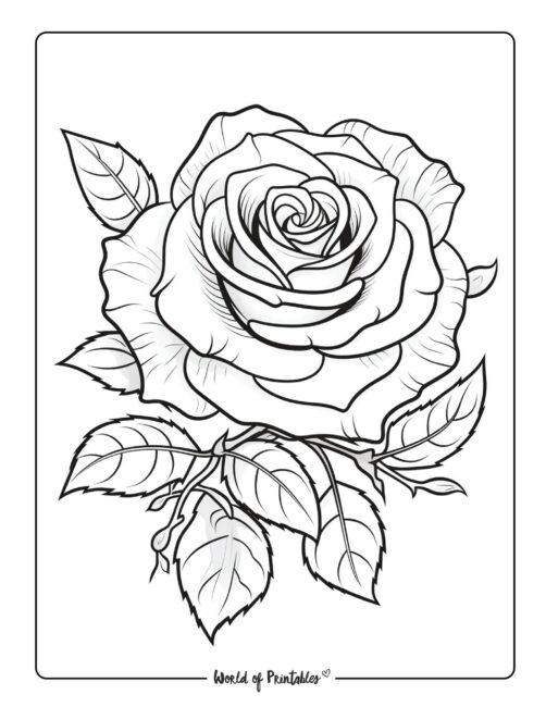 Tattoo Coloring Page 29