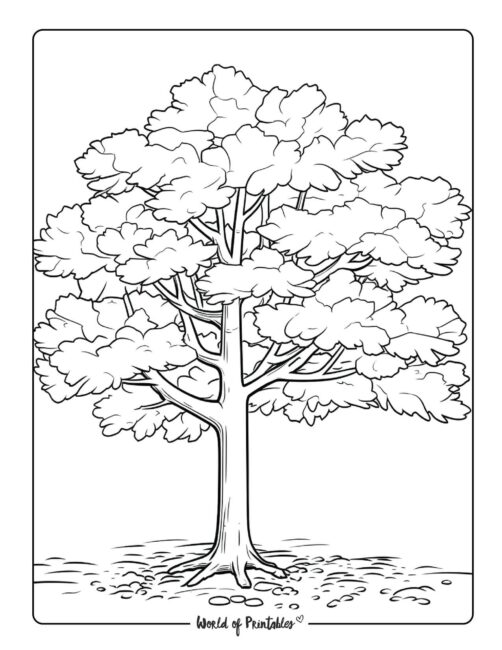 Tree Coloring Page 16
