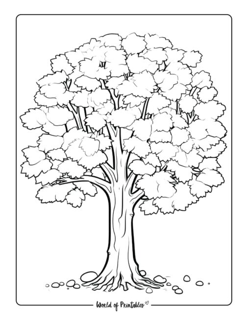 Tree Coloring Page 17
