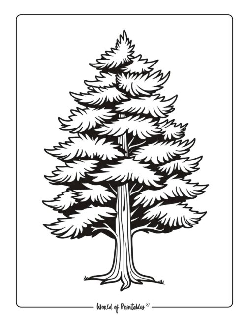 Tree Coloring Page 25