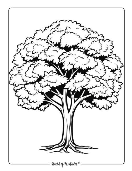 Tree Coloring Page 35