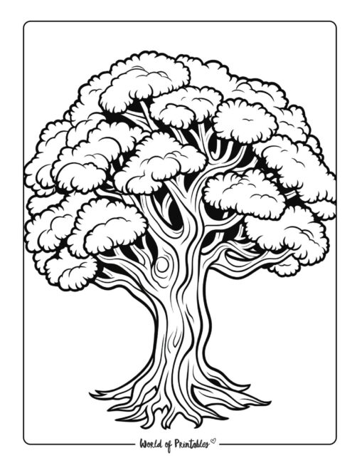 Tree Coloring Page 36