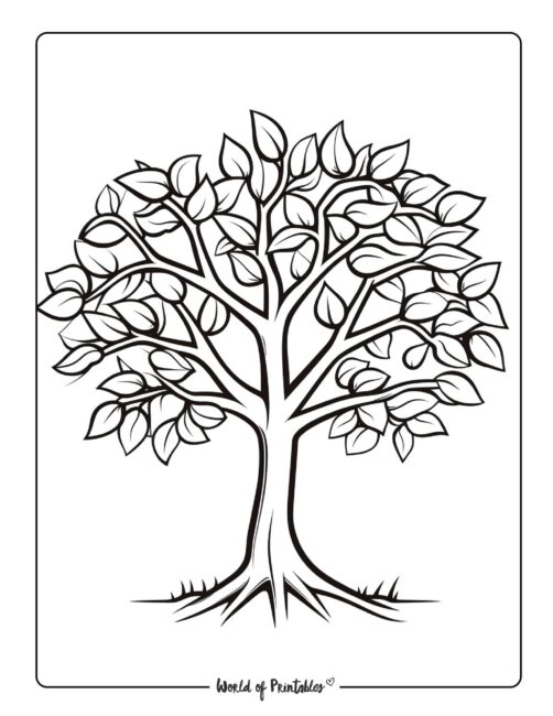 Tree Coloring Page 40