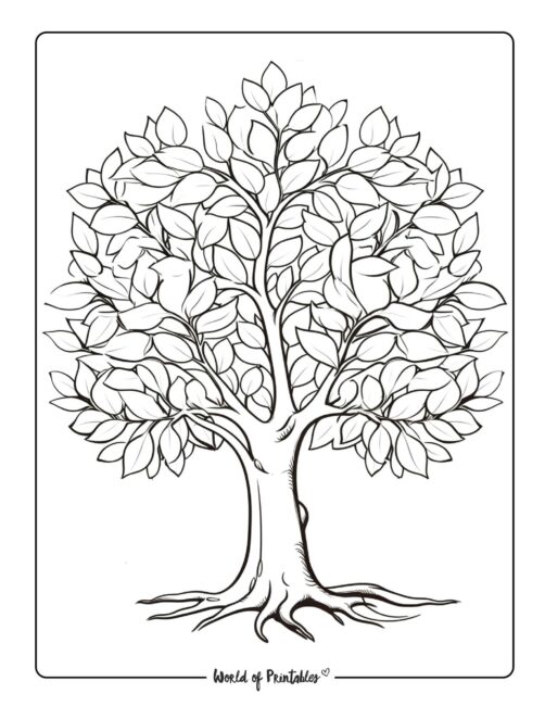Tree Coloring Page 53