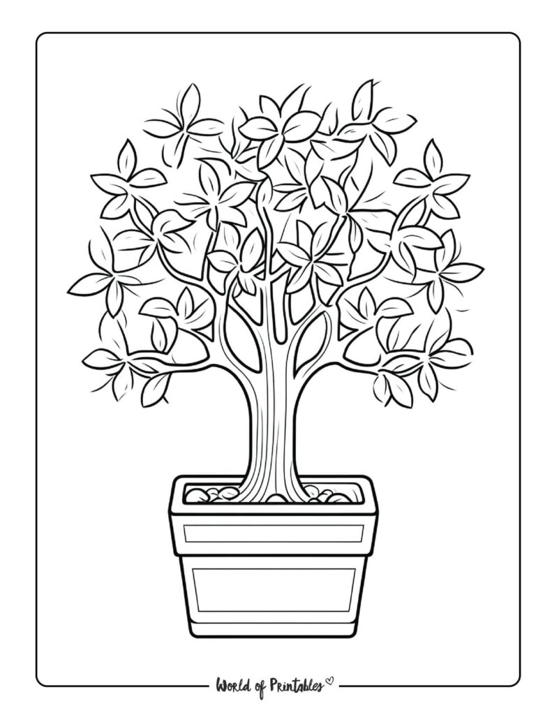 Tree Coloring Pages - World of Printables