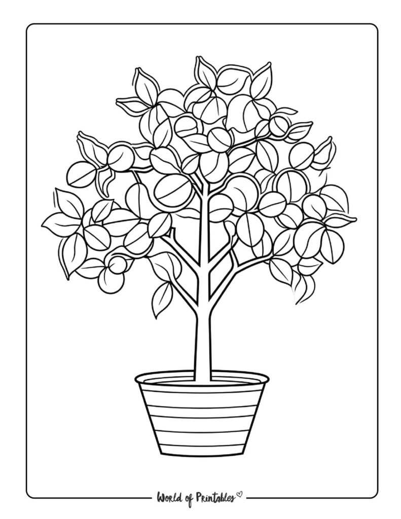 Tree Coloring Pages - World of Printables