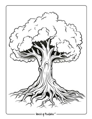 Tree Coloring Pages - World of Printables