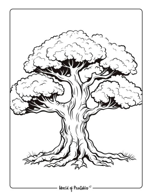 Tree Coloring Page 79