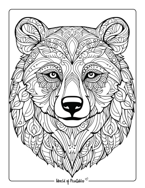Zentangle Bear Coloring Page