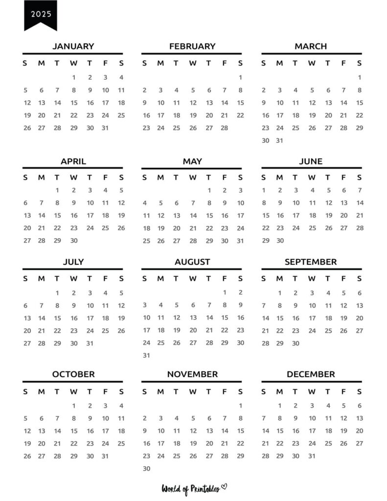 2025 Year Calendar 41