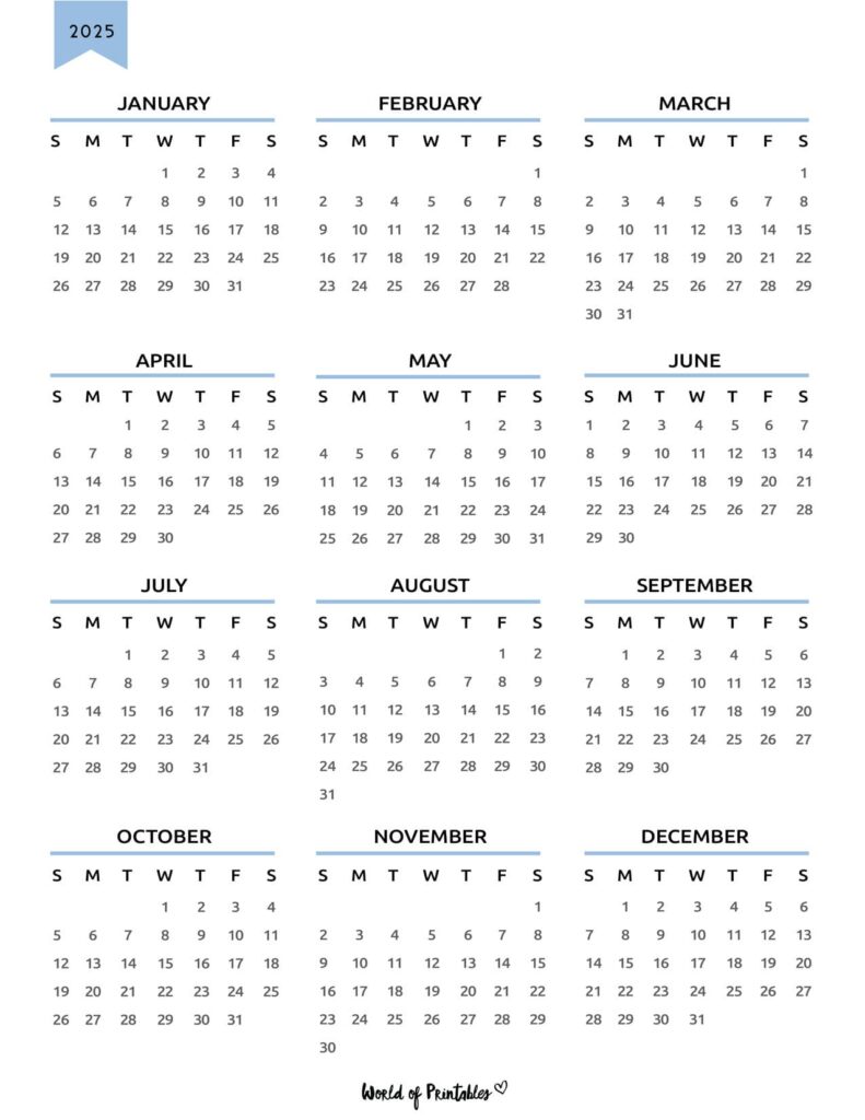 2025 Year Calendar 42