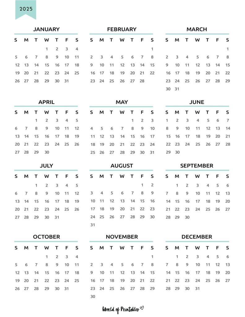 2025 Year Calendar 45
