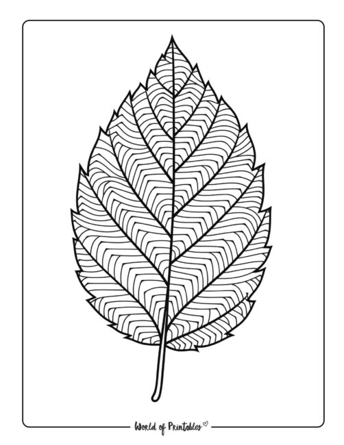 Adult Fall Coloring Page - 22