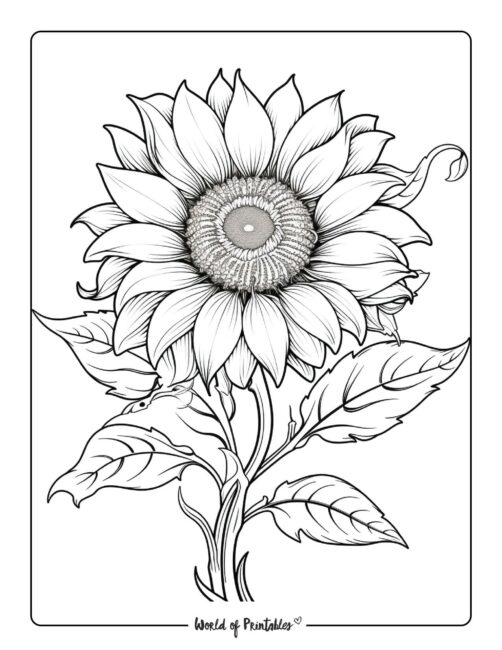 Adult Flower Coloring Page 104