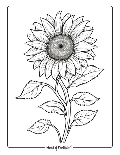 Adult Flower Coloring Page 117