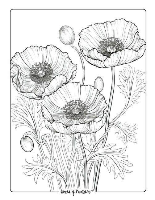 Adult Flower Coloring Page 32