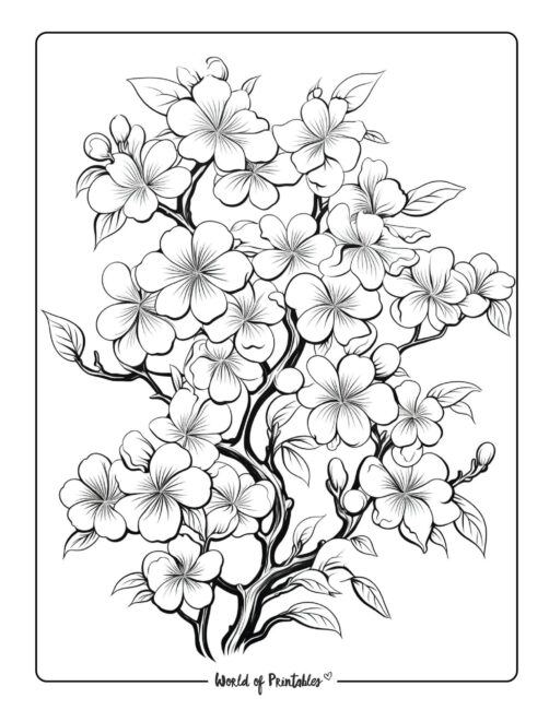 Adult Flower Coloring Page 50