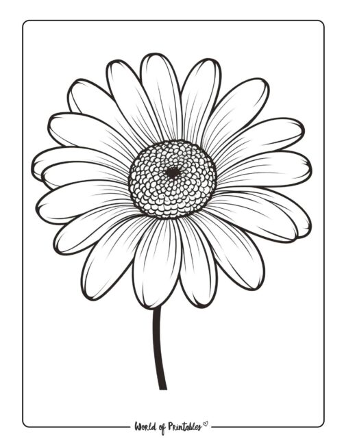 Adult Flower Coloring Page 59