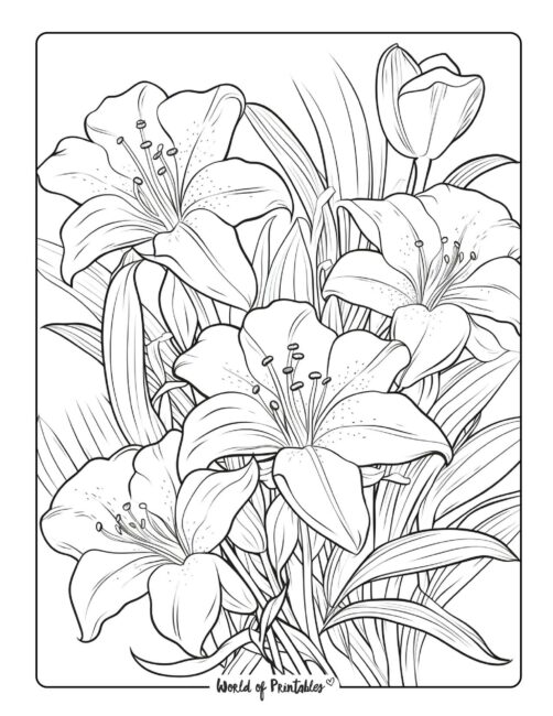 Adult Flower Coloring Page 77