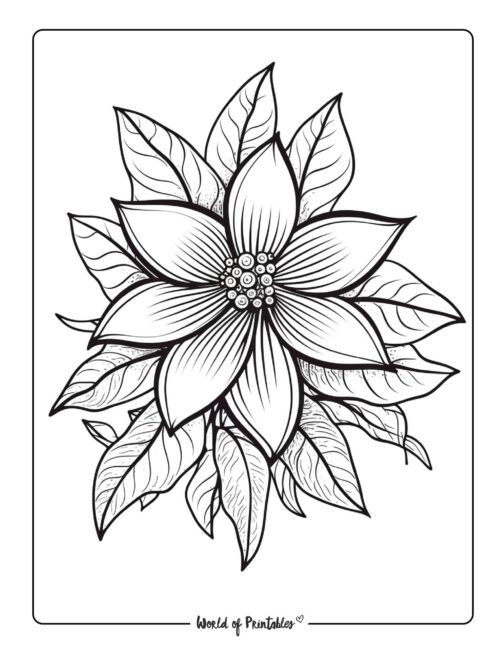 Adult Flower Coloring Page 88