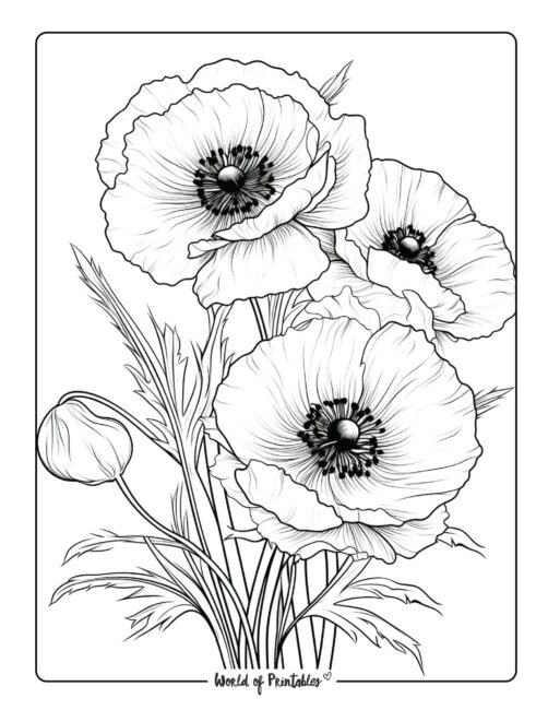 Adult Flower Coloring Page 91