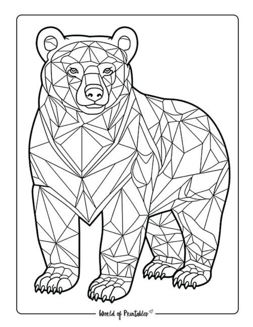 Bear Animal Coloring Page 11