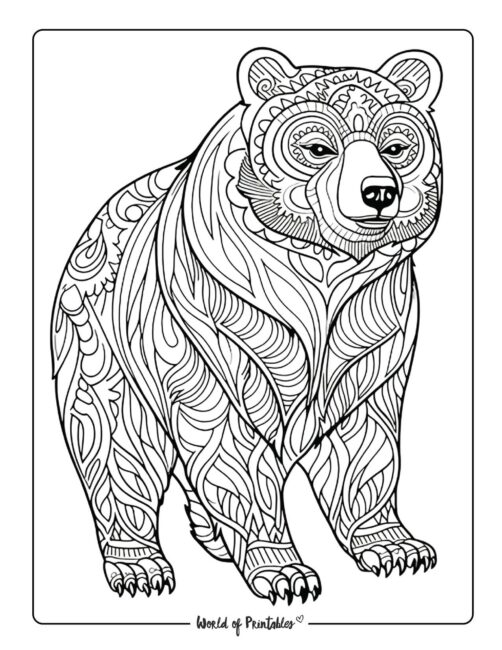 Bear Animal Coloring Page 7
