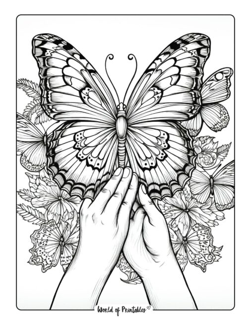 Butterfly Coloring Sheet 11