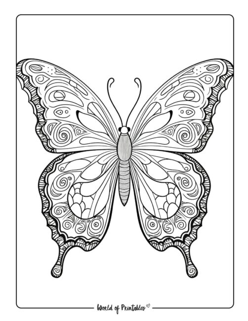 Butterfly Coloring Sheet 16