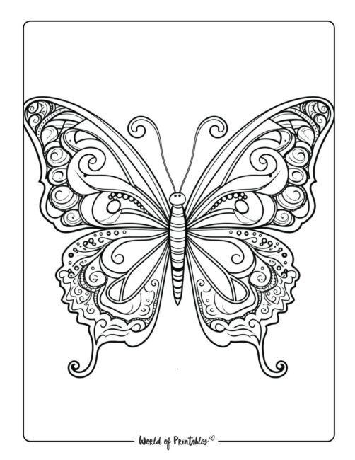 Butterfly Coloring Sheet 17