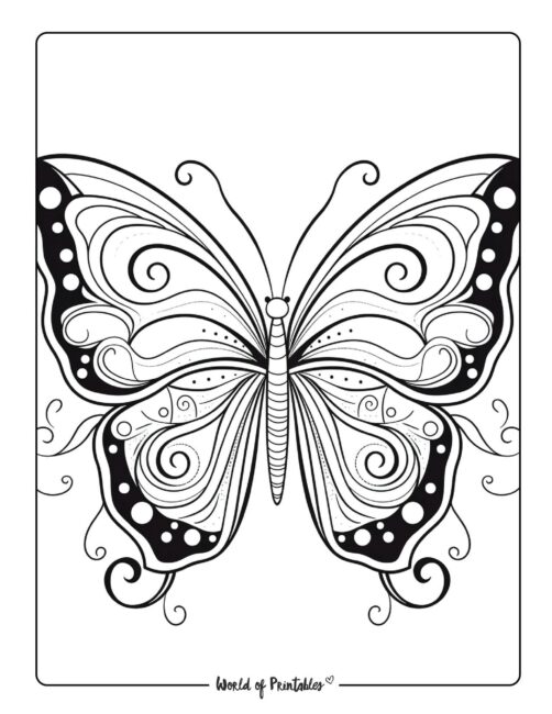 Butterfly Coloring Sheet 18
