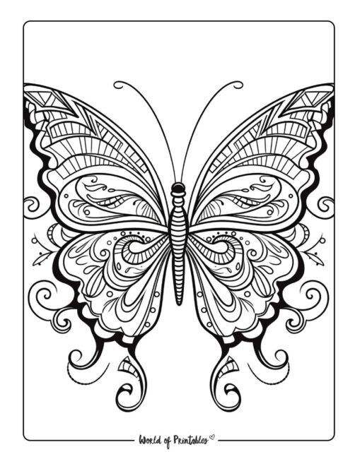 Butterfly Coloring Sheet 22