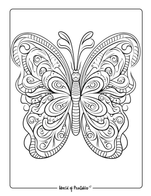 Butterfly Coloring Sheet 30