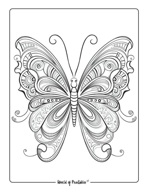 Butterfly Coloring Sheet 36