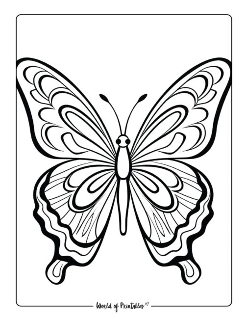Butterfly Coloring Sheet 46