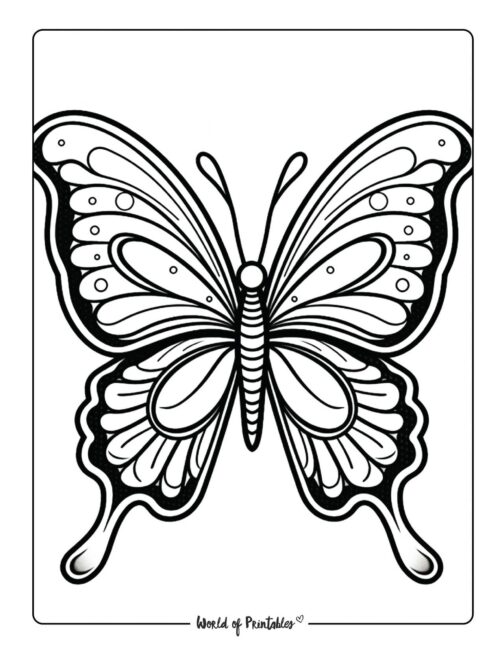 Butterfly Coloring Sheet 47