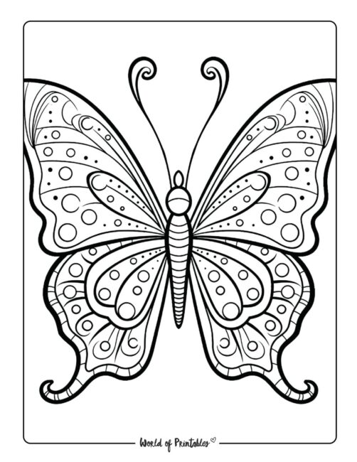 Butterfly Coloring Sheet 48