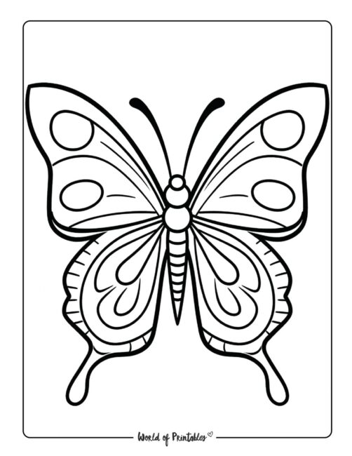Butterfly Coloring Sheet 49