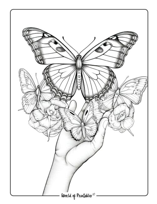 Butterfly Coloring Sheet 60