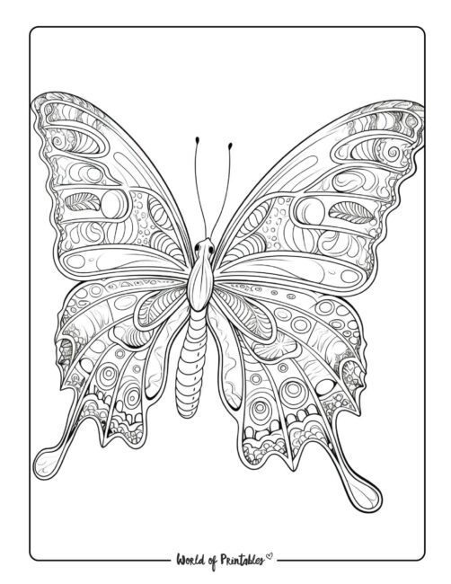 Butterfly Coloring Sheet 64